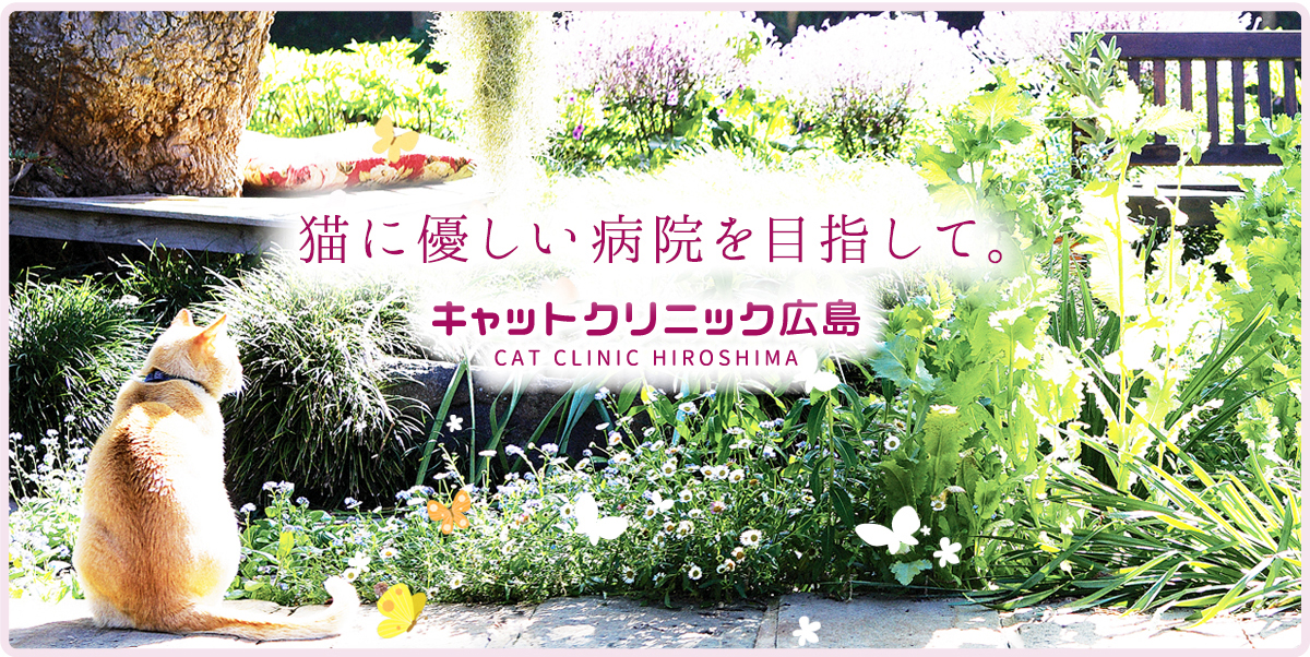 キャットクリニック広島