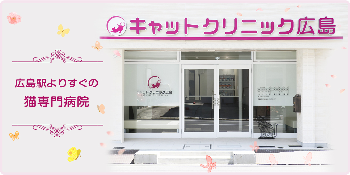 キャットクリニック広島