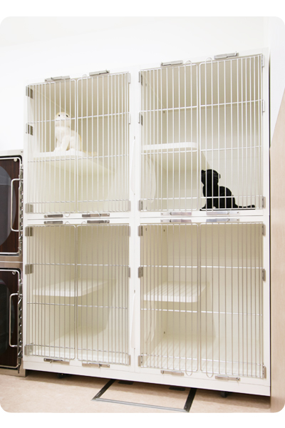 キャットホテル