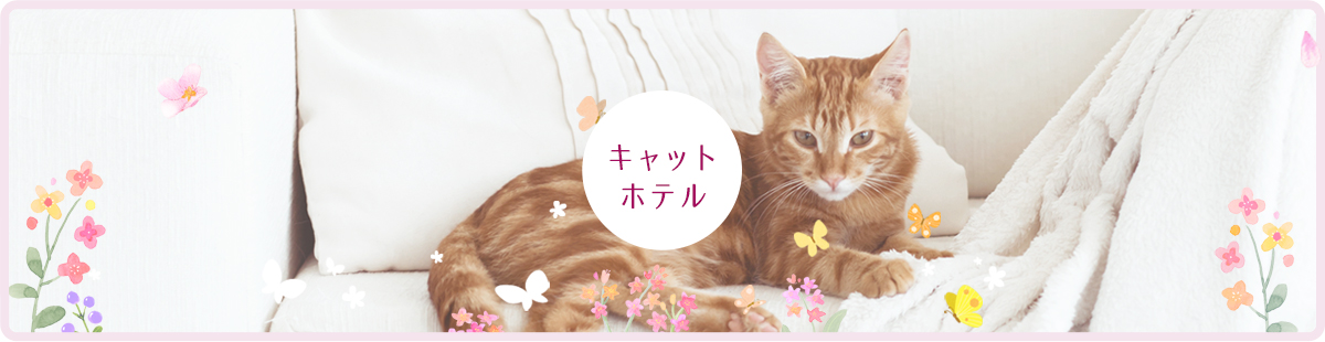 キャットホテル