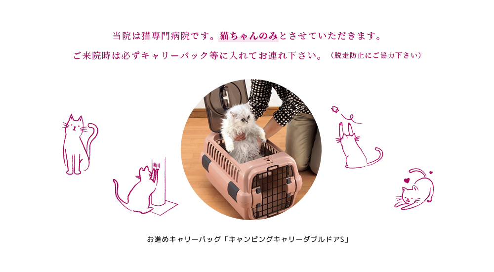 猫専門動物病院