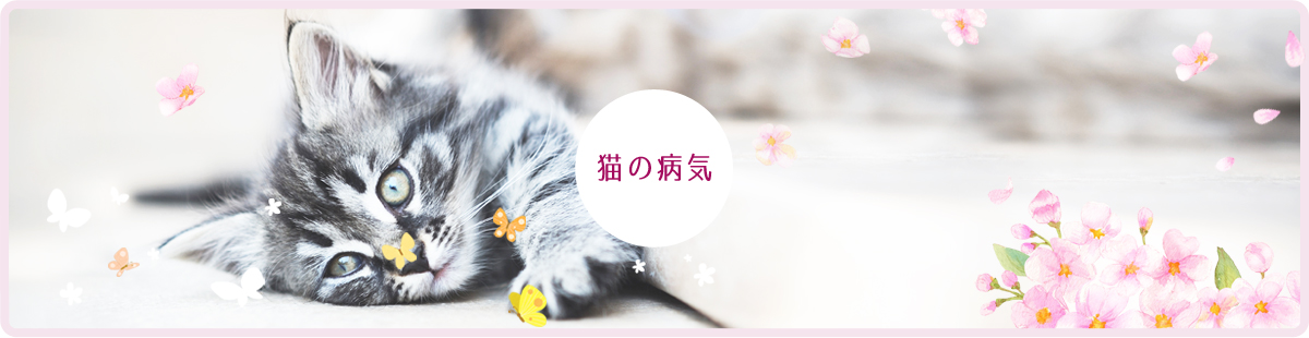 猫の病気